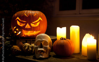 The Magical Power of Plants;Foxgloves, Onions, Halloween, Holly, and witchcraft...