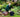 Welcome to RHS Wisley: Jamie Butterworth reports on his first few weeks as a student