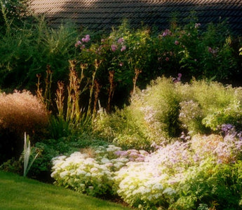 Garden Ideas:  A Garden Style from ‘The Garden of England’