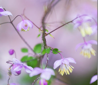 5 Tips to Get the Best Out of Your Canon EOS Camera