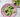 The side salad revamp