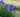 Top 10 Later Summer Gardening Jobs