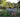Andy McIndoe&rsquo;s top ten successes in the garden this year