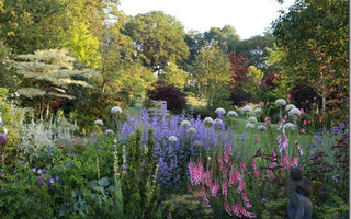 Andy McIndoe&rsquo;s top ten successes in the garden this year