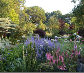 Andy McIndoe&rsquo;s top ten successes in the garden this year
