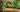 Get an early start with Veggies &ndash; VegTrug: a great way to grow