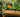 Get an early start with Veggies &ndash; VegTrug: a great way to grow