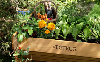 Get an early start with Veggies &ndash; VegTrug: a great way to grow