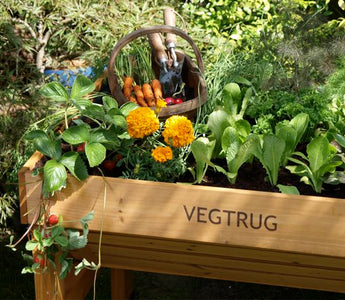 Get an early start with Veggies &ndash; VegTrug: a great way to grow
