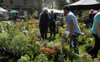 Fair Trade: The Great British Plant Fair