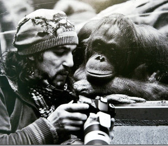 Weekend Assignment: No Chimping!