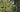 Leonardslee – The reawakening of a garden