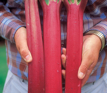 Valentine&rsquo;s Day Gifts for Gardeners