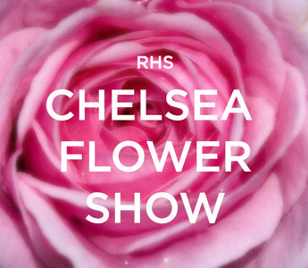 Chelsea Flower Show 2011