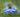 5 Tips For Fine Art Flower Photography
