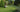 How to Feed Your Lawn Organically