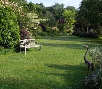 How to Feed Your Lawn Organically