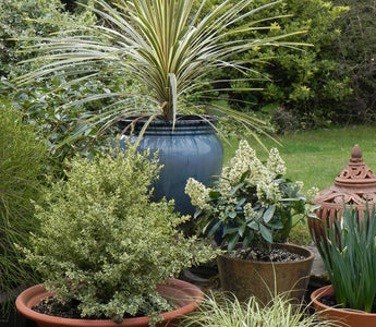 Is this pot frost proof?