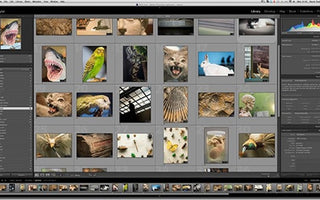 How-to: View Raw Files in Windows