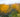 Under-Planting Deciduous Shrubs & Trees