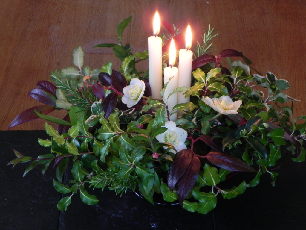 Top Ten Shrubs for Flower Arranging in Winter Learning with Experts