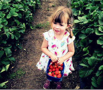 Top Ten Safety Tips for Gardening with Children
