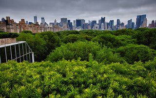 Top Ten Gardens in The World To Visit In A Lifetime