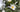 Planting in shade &ndash; partial shade, semi-shade, dappled shade; what do they mean?