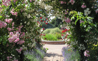 10 Things To Consider When Planning A Pergola