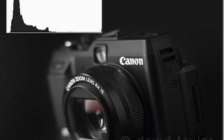 Light and Dark: High Key and Low Key Photography