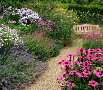 How to Design Garden Paths