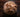 Celeriac… Don’t judge a book by its cover