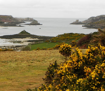 Andy's Adventures in Gardening; A Trip to Tresco