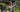 A Plantsman’s Paradise – Dingle Nurseries