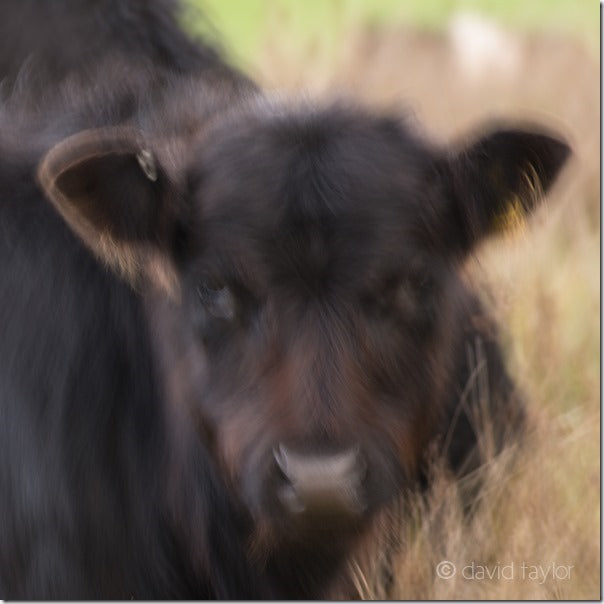 How to Avoid Camera Shake When Handholding Your Camera – Learning with ...