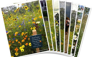 Olympic Park Planting London 2012