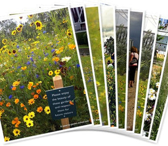 Olympic Park Planting London 2012