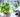 How To Look After Supermarket Herbs