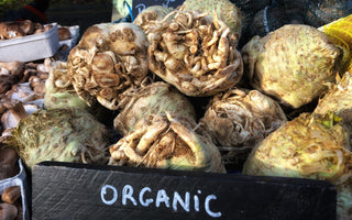 Season’s eatings: celeriac