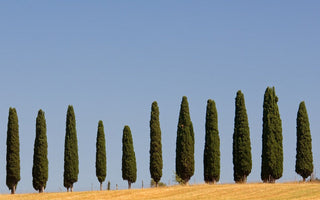 Minimalism in Landscape Photography