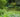 Hardy Exotic Plants For a Harsher Climate