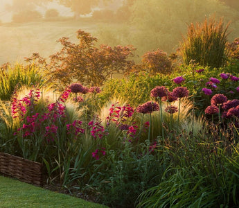 Embrace the Outdoors: Captivating Courses for a Season of Discovery