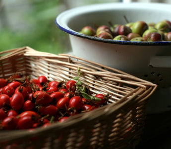Rediscover the nutritional properties of wild plants with Miles Irving, forager for the world’s top chefs.