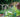 Get growing your own vegetables