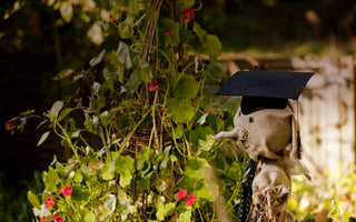 How to Find The Best Gardening Course Near You
