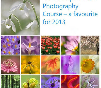 Andy's Adventures in gardening : Planning for the New Year ...