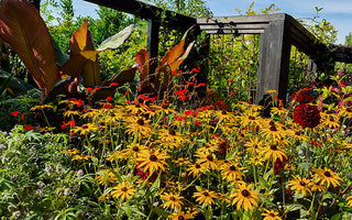The countdown to RHS Chelsea Flower Show begins