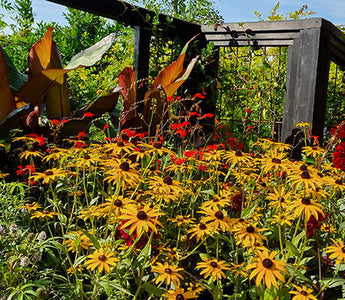 The countdown to RHS Chelsea Flower Show begins