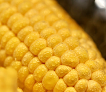 Sweetcorn