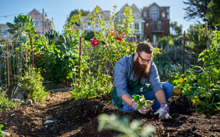 Gardening for health and wellbeing
